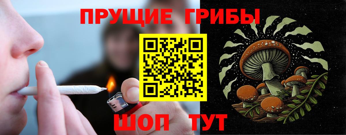 Галлюциногенные грибы прущие грибы Всеволожск