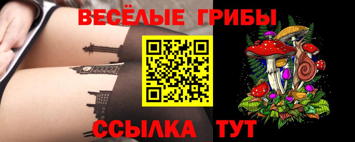 Псилоцибиновые грибы Cubensis  Псилоцибиновые грибы мицелий  Всеволожск  Вход с VPN 