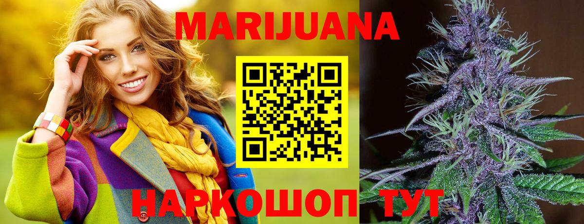 Конопля гибрид Всеволожск